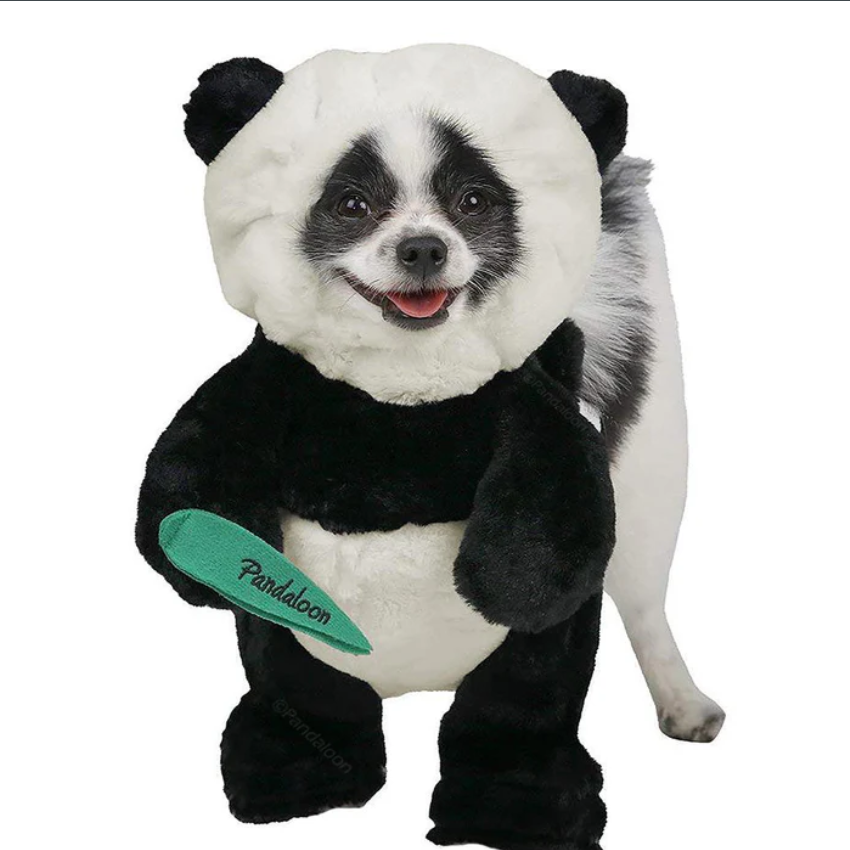 Panda - Faschingskostüm Halloween Kostüm für Hunde