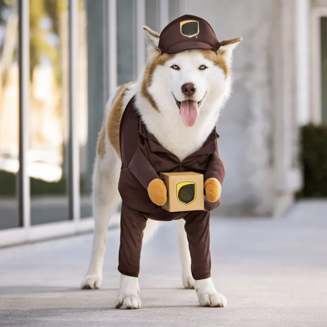 Fritz Faschingskostüm Halloween-Hundekostüm